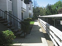 Photo31521