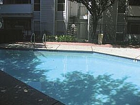 Photo31523